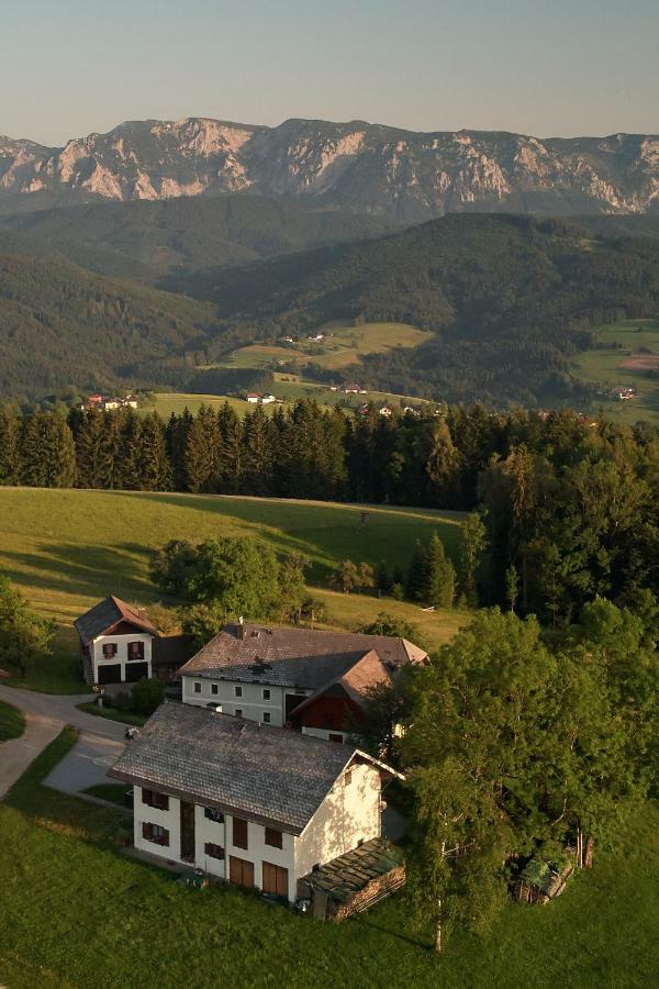 Apartment Christine Weyregg am Attersee Zewnętrze zdjęcie